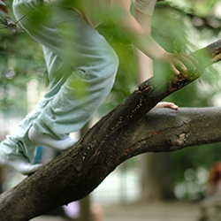 Autenticitate Părintele Prezent